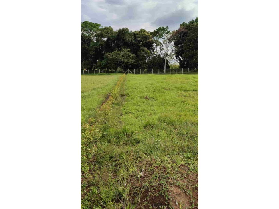 Se Vende Lote Totalmente Plano en Cerritos entrada El Tigre — foto 6