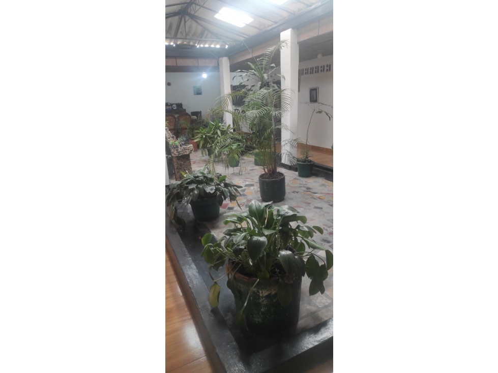 Para inversionistas excelente propiedad en el centro de Pereira — foto 5