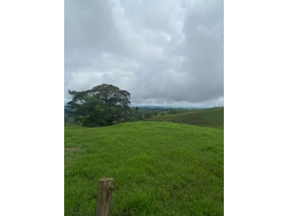 Venta de excelentes terrenos en el mejor lugar de Combia 214 cuadras — foto 5