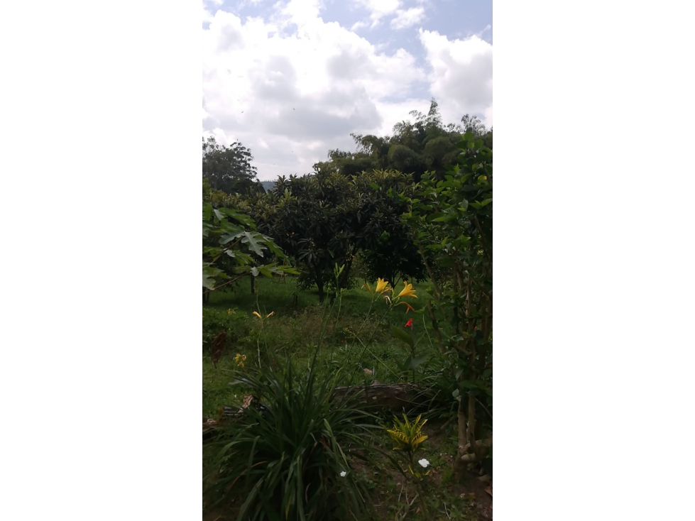 SE VENDE CASA CAMPESTRE EN SANTA ROSA AREA 4000 M2 — foto 5