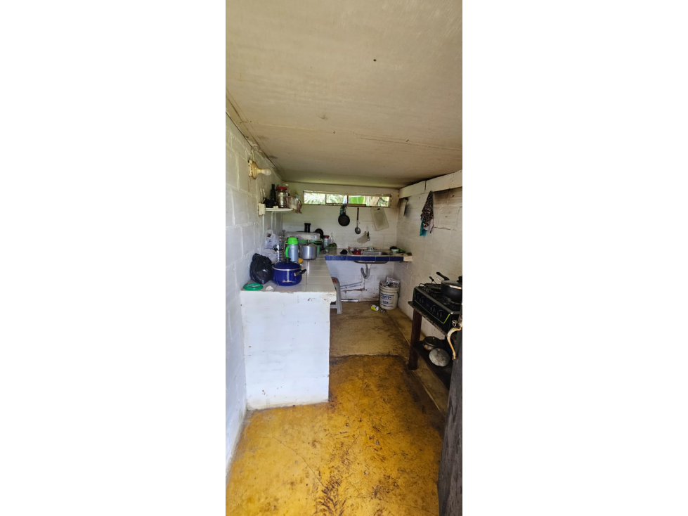 SE VENDE FINCA EN RISARALDA CALDAS — foto 5