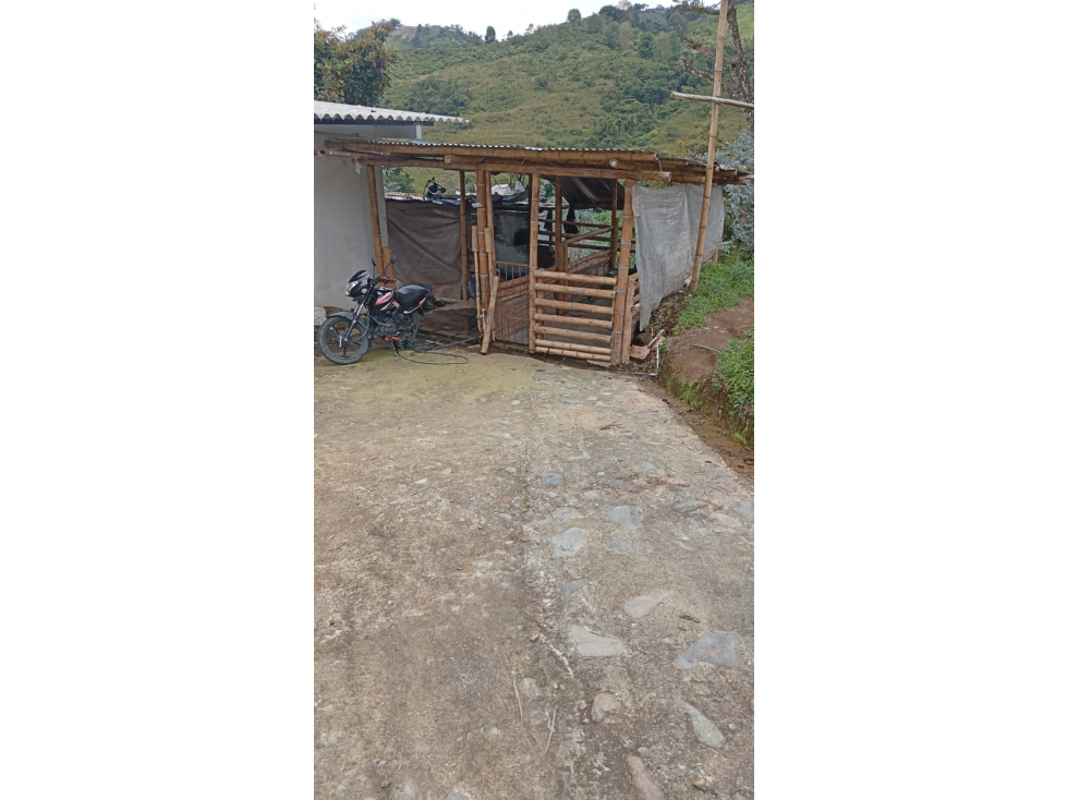SE VENDE FINCA LA VEREDA CEDRALITO EN LA VIA PIMPOLLO — foto 5