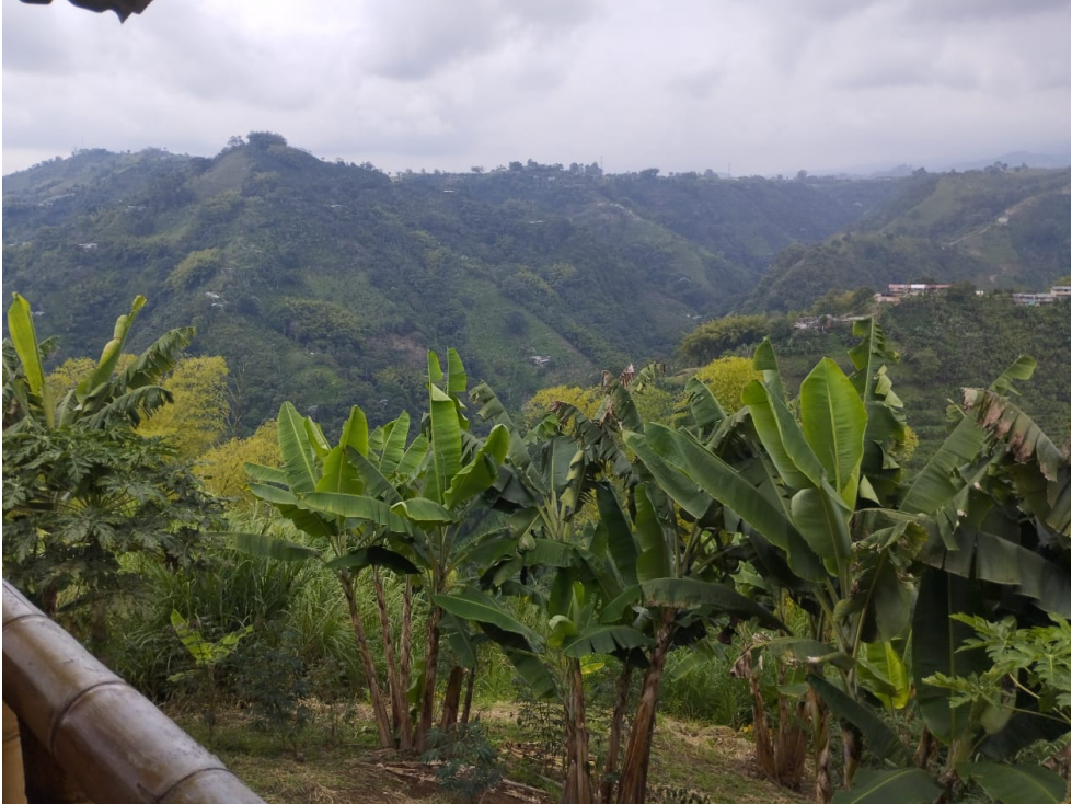 SE VENDE Finca con Vista Espectacular Vía Armenia — foto 5