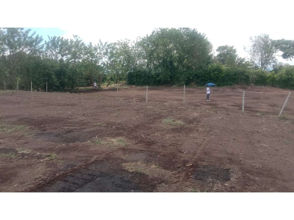 SE VENDE LOTE PALMILLA AREA DESDE 1500 M2 PARCELACION PUE ELECTRICA — foto 5