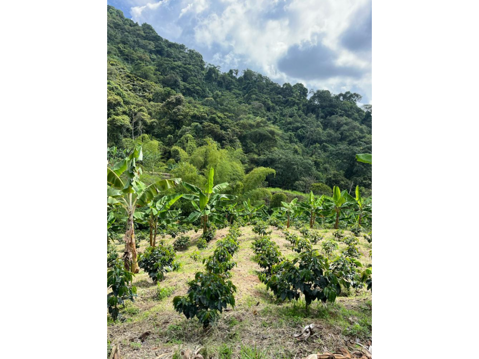 SE VENDE PROYECTO TURÍSTICO EN COMBIA — foto 5