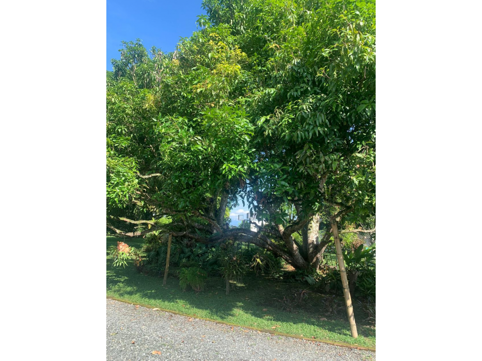SE VENDE FINCA VIA CONDINA — foto 5