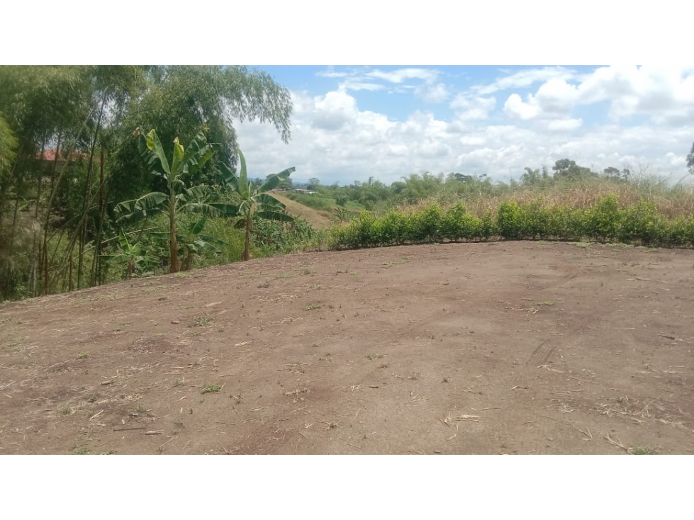 SE VENDE O PERMUTA LOTE EN PARCELACION EN LA PALMILLA — foto 5