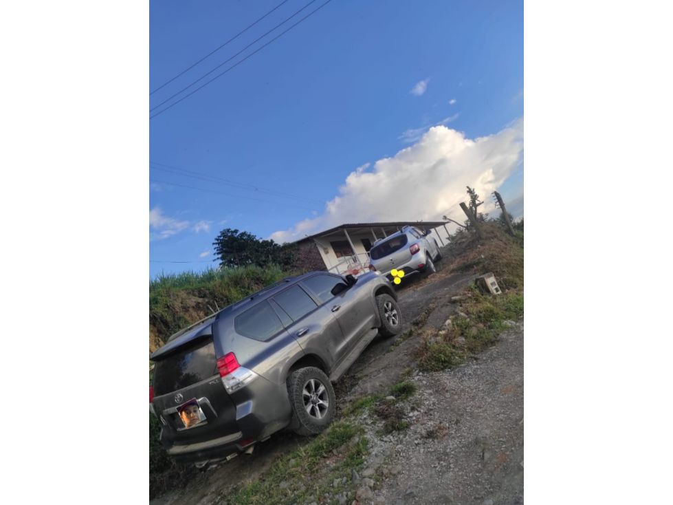 SE VENDE FINCA EN LA FLORIDA, VEREDA COLONIA CERCA A PEREIRA — foto 5