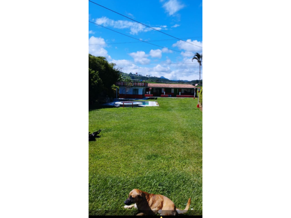 SE VENDE CASA CAMPESTRE CERCA AL LEMBO EN SANTA ROSA DE CABAL — foto 5