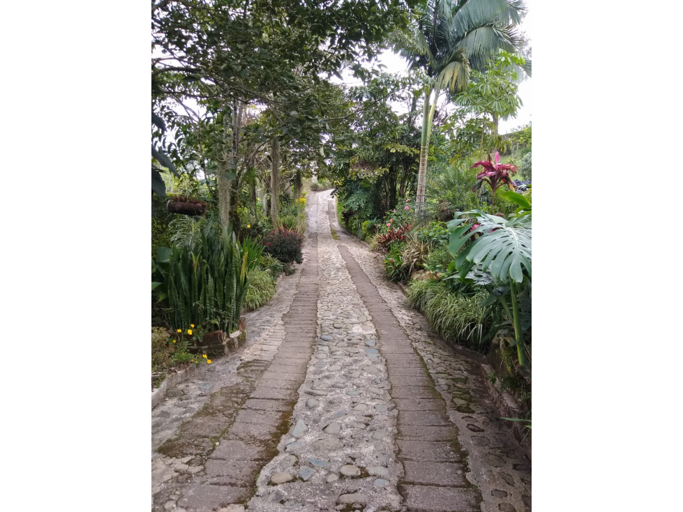 Se vende finca de cafÃ© organico en la zona cafetera de Risaralda — foto 5
