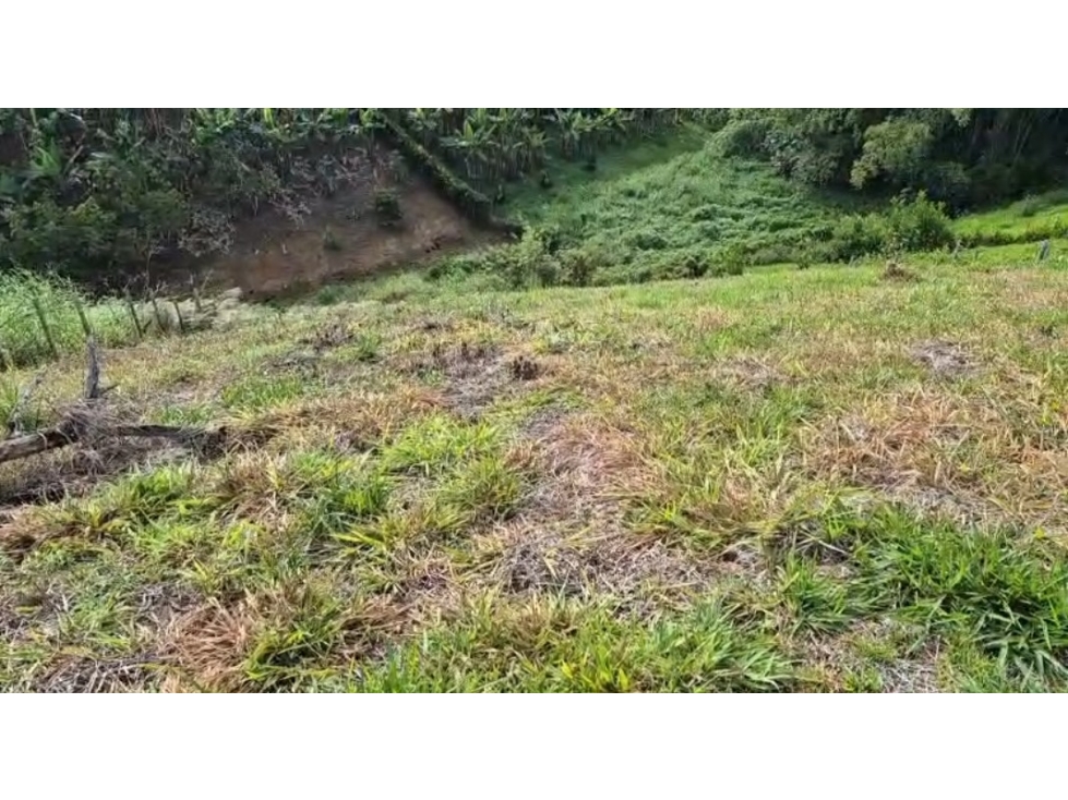 SE VENDE O PERMUTA LOTE EN PARCELACION CERCA DE ALCALA AREA 2500M2 — foto 5