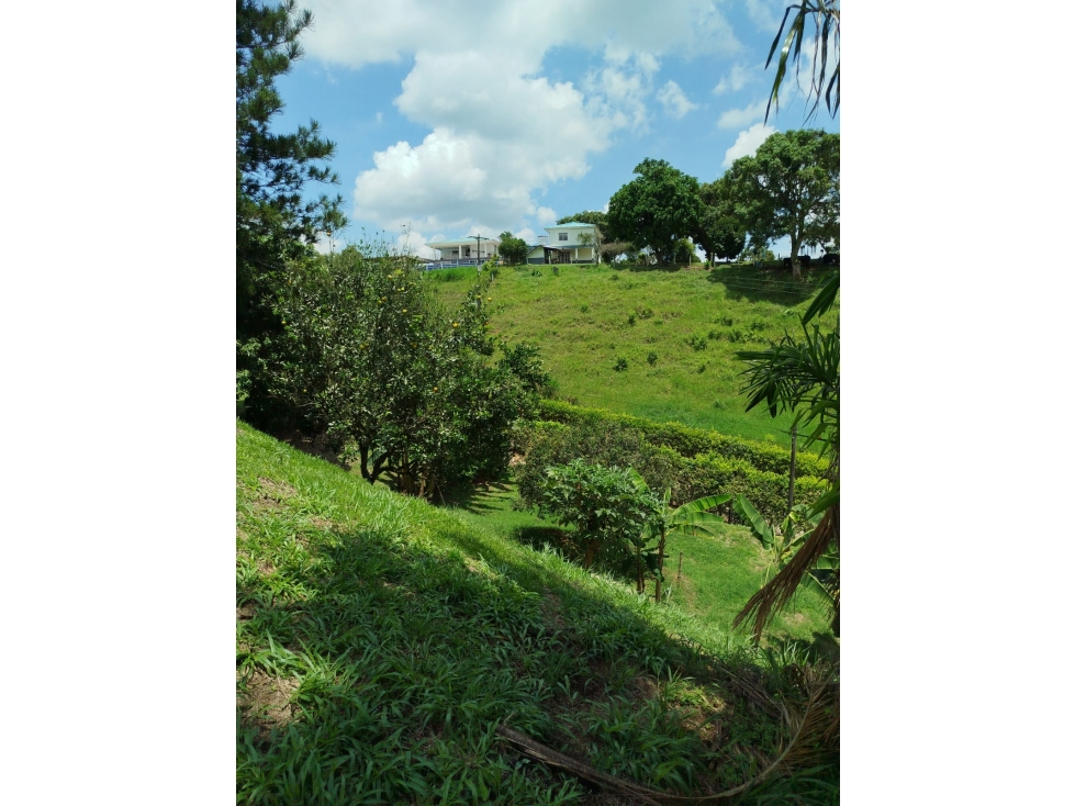 Se venden 2 lotes en Combia Pereira? de 1.330 m² y 1.780 m² — foto 5