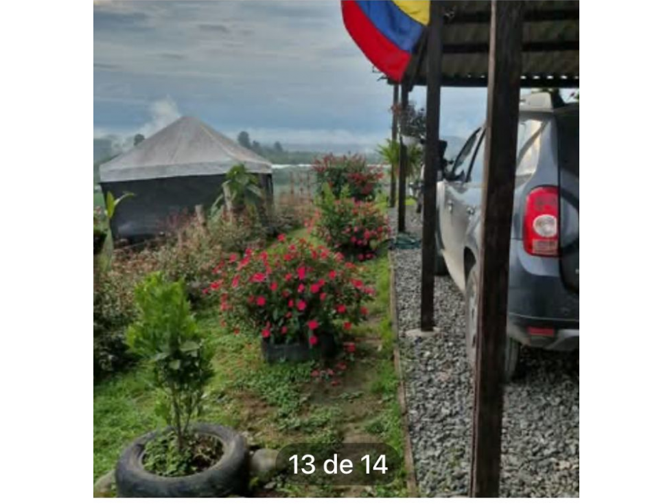 VENDE O PERMUTA CASA CAMPESTRE LA BELLA AREA 3500 M2 EXCELENTE VISTA — foto 5