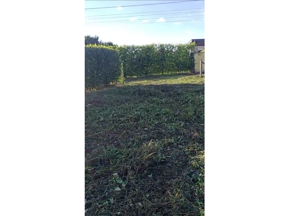 Se vende lote 1.500 m² en Portales de Alcalá — foto 6