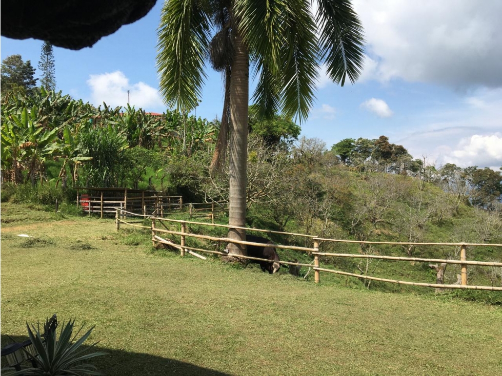 SE VENDE O SE PERMUTA FINCA VIA MARSELLA EXCELENTE UBICACIÓN - 5