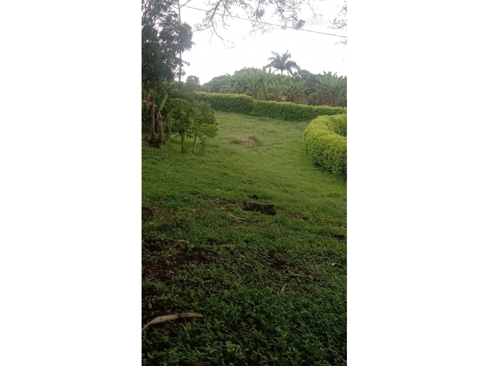 SE VENDE LOTE CON CASA SOBRE VIA PRINCIPAL ENLA PALMILLA — foto 5