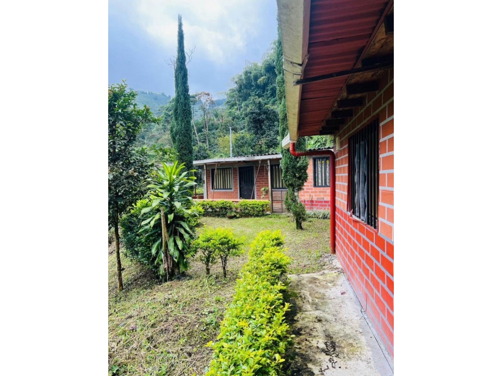 Se vende espectacular Finca Cafetera a 15 min de Santa Rosa de Cabal — foto 5