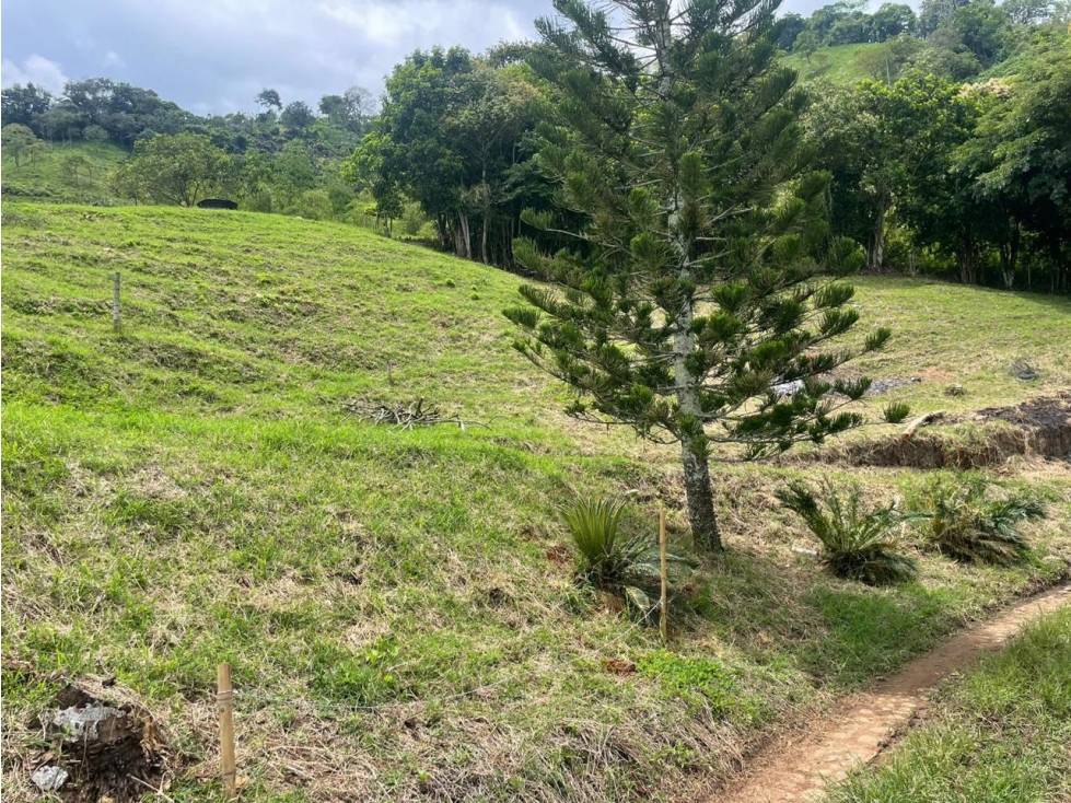 SE VENDE FINCA VEREDA LA HONDA EN COMBIA — foto 5