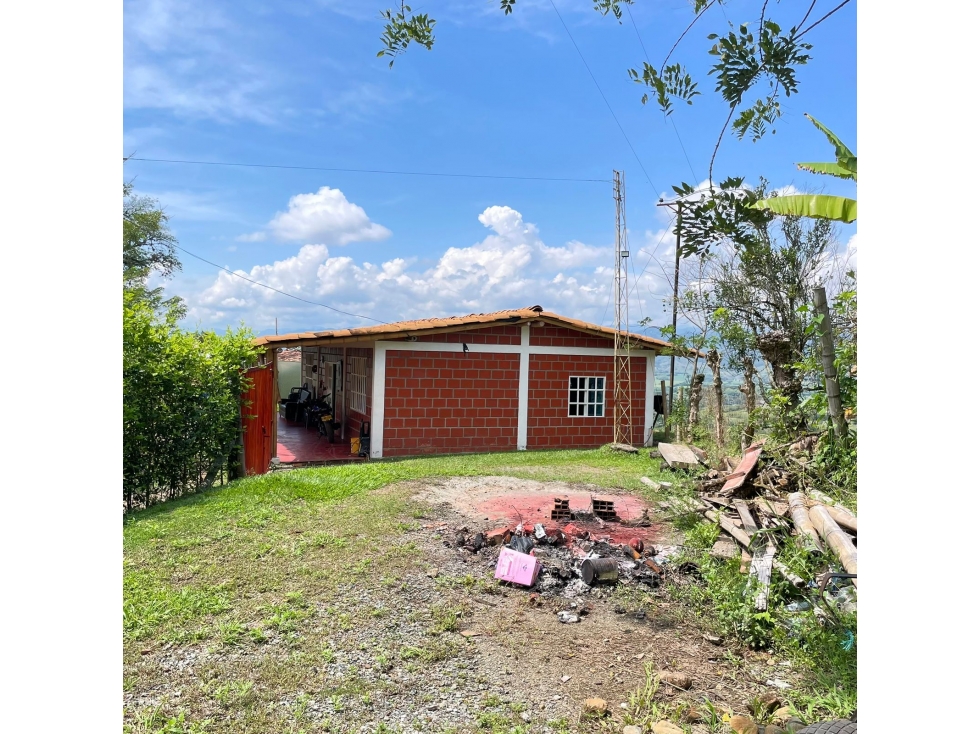 Se vende finca en Belalcázar 500m² solo efectivo - 5