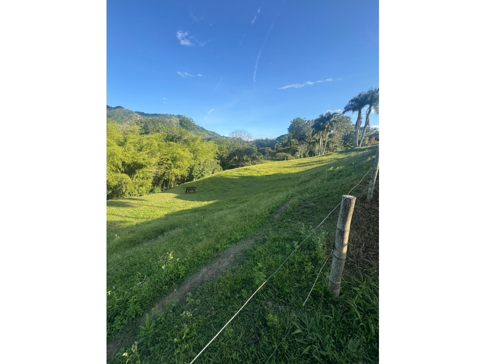 SE VENDE FINCA EN COMBIA ENLA HONDA AREA 18.129 M2 APROX — foto 5