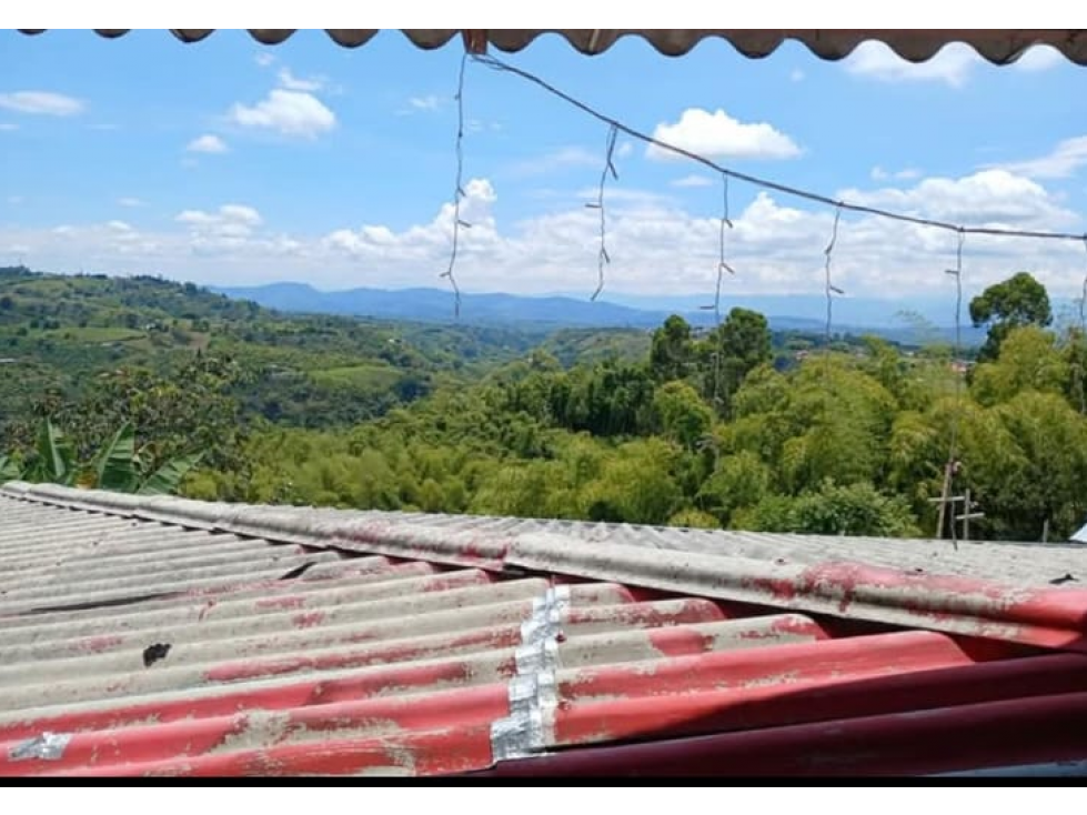 SE VENDE CASA CAMPESTRE CORREGIMIENTO DE ARABIA — foto 4