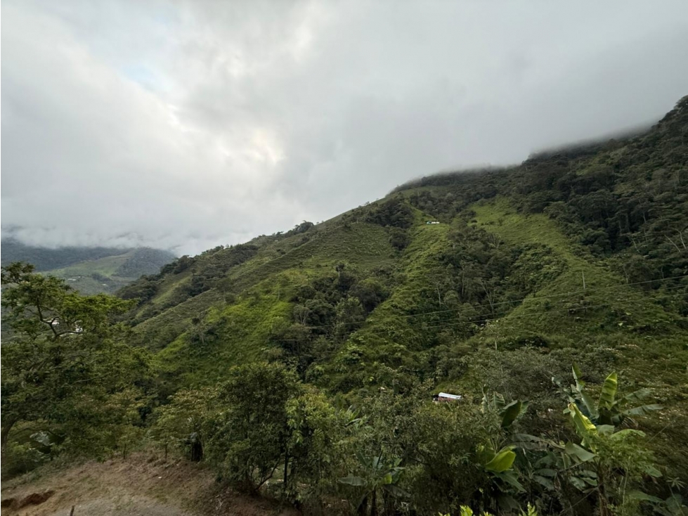 Se venden 2 fincas juntas en Pueblo Rico - 5
