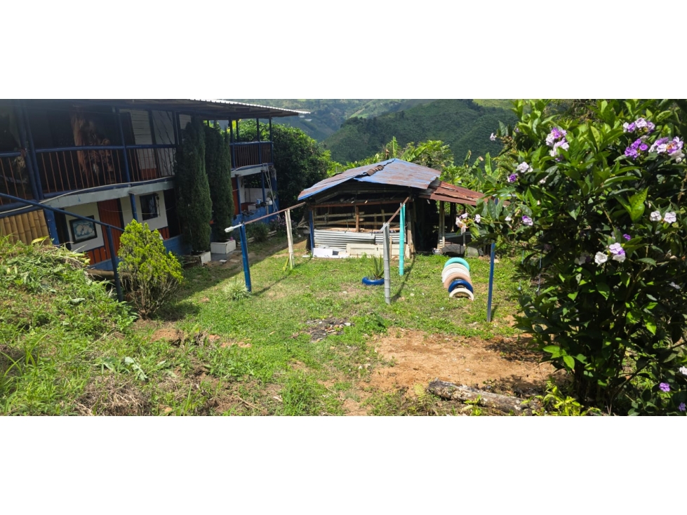 SE VENDE O PERMUTA FINCA VEREDA LAS TAZAS CERCA A MARSELLA - 5