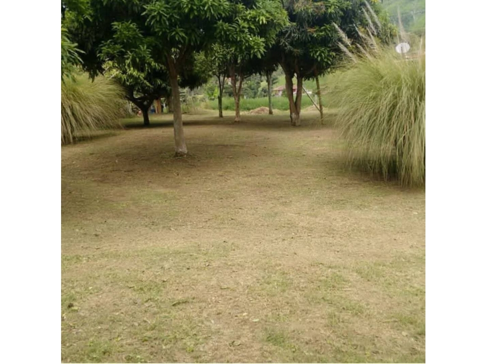 SE VENDE HERMOSA FINCA EN SANTA ROSA — foto 5