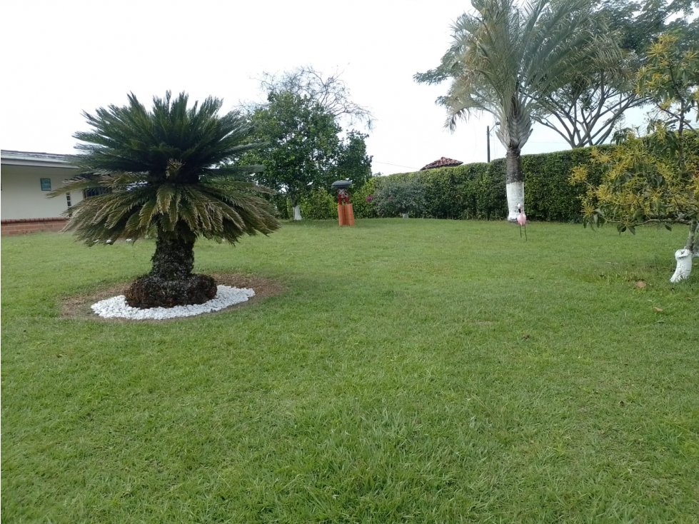 SE VENDE CASA CAMPESTRE EN EL RETIRO CERCA MORELIA AREA 3200 M2 — foto 5