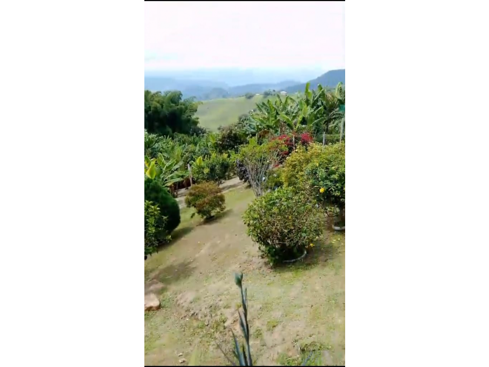 SE VENDE CASA CAMPESTRE EN ARSERMA CALDAS 3000M2 - 5
