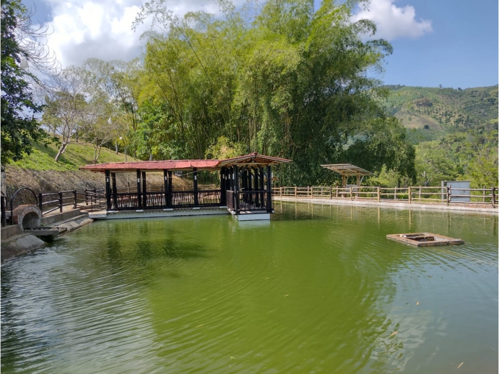 SE VENDE FINCA HOTEL CERCA A CHINCHINA - 5