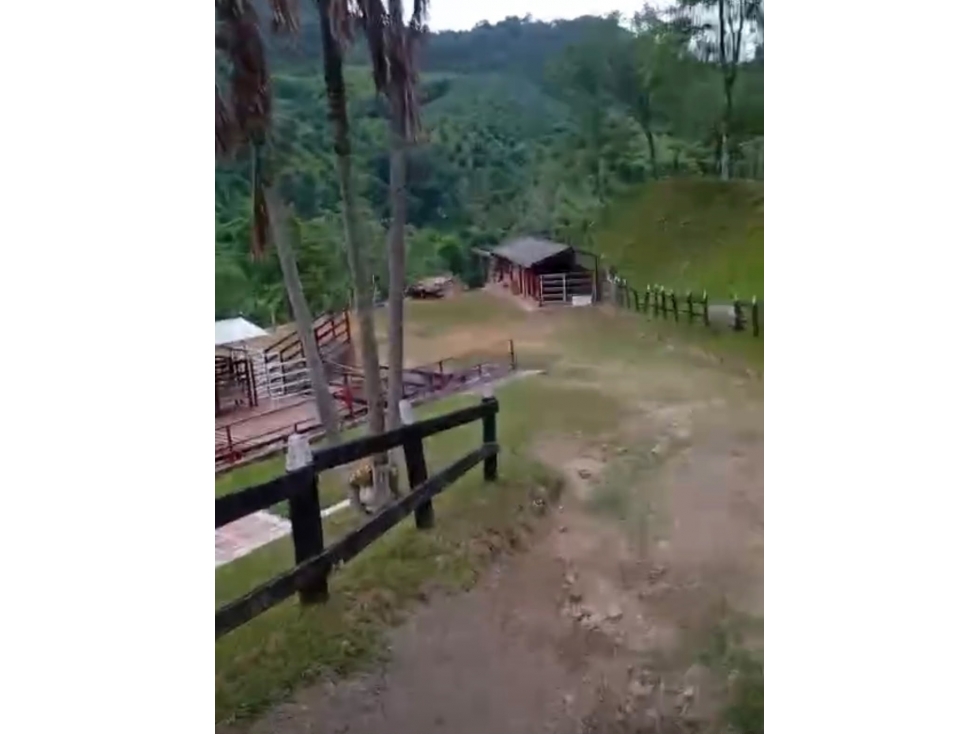 se vende finca en la celia risaralda - 5