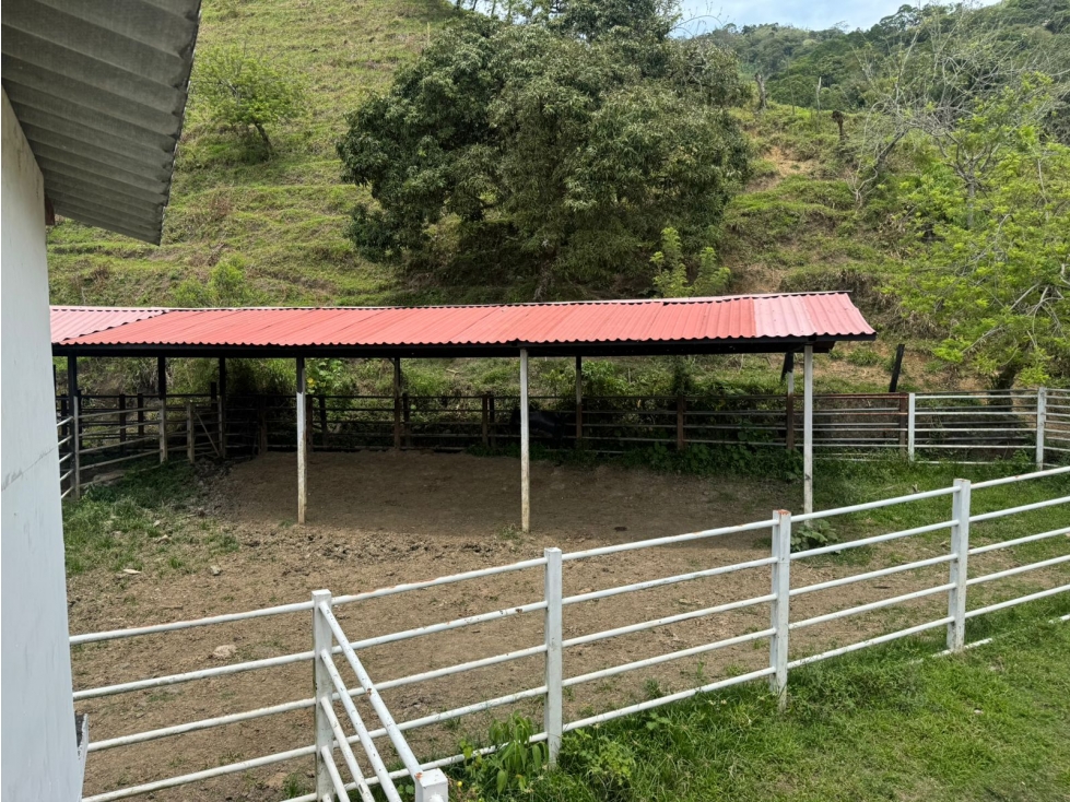 SE VENDE FINCA VIA BELALCAZAR CALDAS — foto 5
