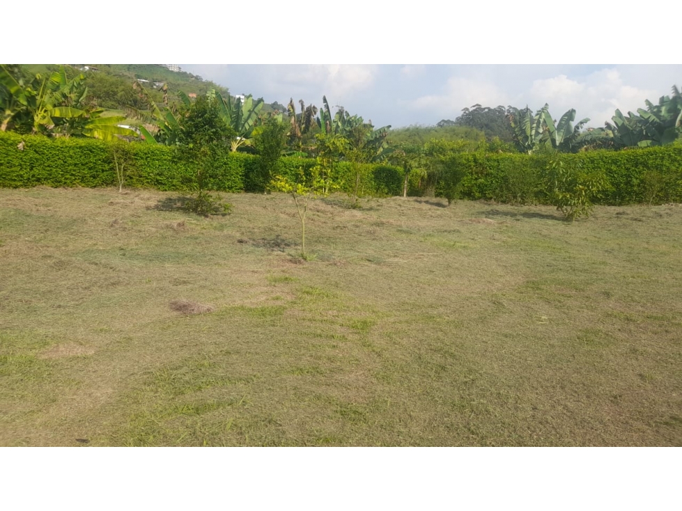 SE VENDE LOTE CAMPESTRE EN COMBIA — foto 5