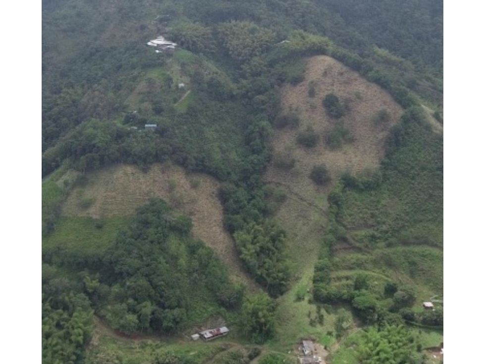 SE VENDE FINCA EN COMBIA — foto 6