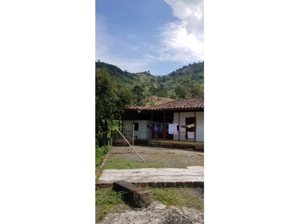 se vende Finca Productiva CERCA AL CRUCERO DE COMBIA — foto 2