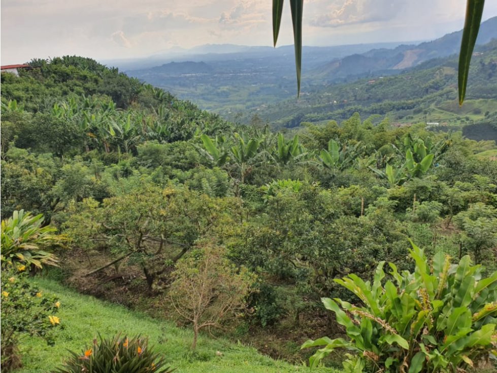 Se vende Excelente Finca de Trabajo en Combia — foto 6