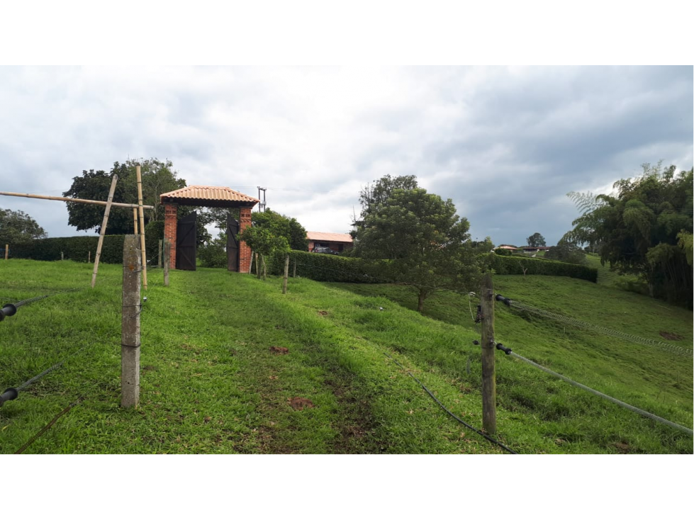 Se vende finca a 10 min de la casona via armenia — foto 3