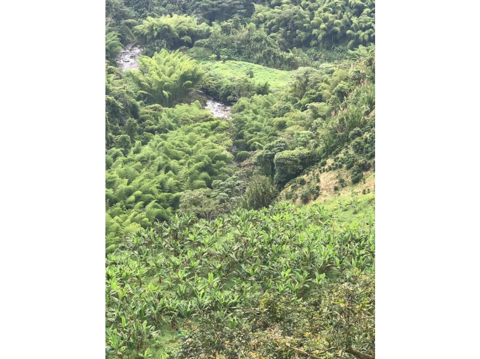 SE VENDE GRAN FINCA EXPORTADORA DE 44 CUADRAS SANTA ROSA — foto 6