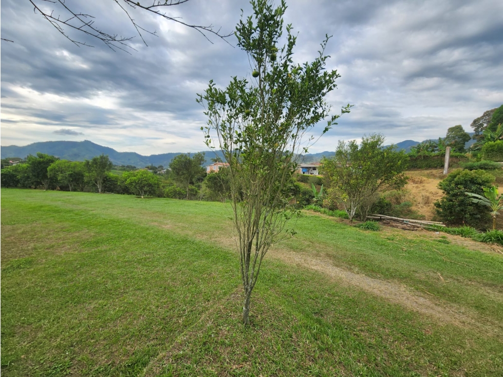Vendo hermosa finca a 4 cuadras del Crucero de Combia — foto 4