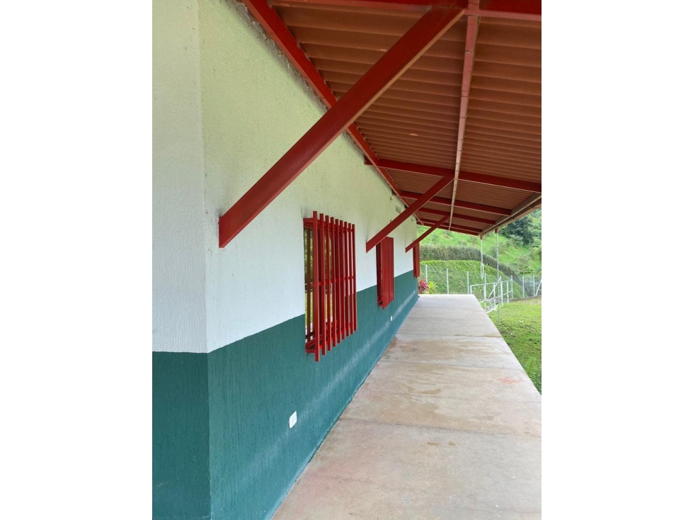 Vendo hermosa finca aguacatera en la florida — foto 3