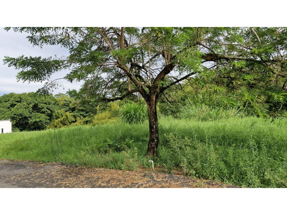 SE VENDE LOTE EN COMBIA EN CONJUNTO CERRADO — foto 6