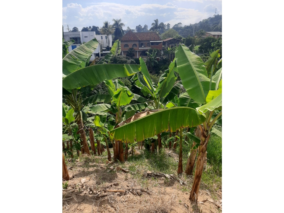 Vendo lote en Combia para construir casa Campestre — foto 6