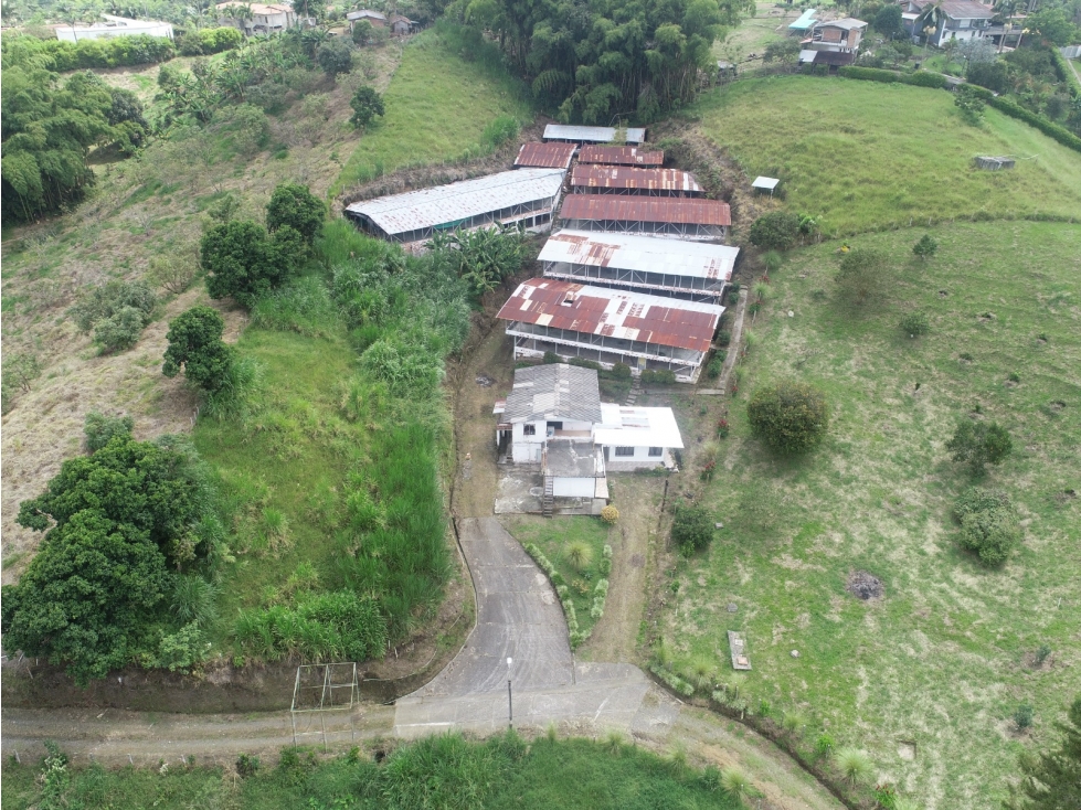 Venta de hermosos lotes en Graminea