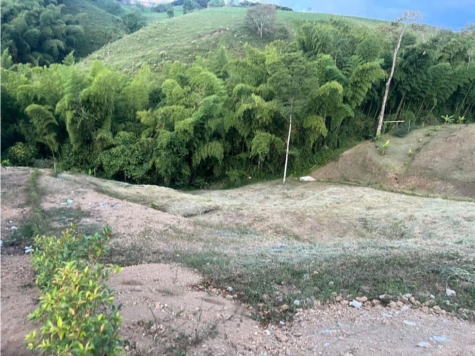 SE VENDE LOTE DE 2100 MTS VIA ARMENIA EN CONDOMINIO — foto 6