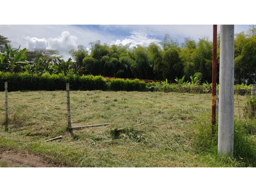 Se vende lote de 1.835 m² en vereda la Unión - Alcalá — foto 2