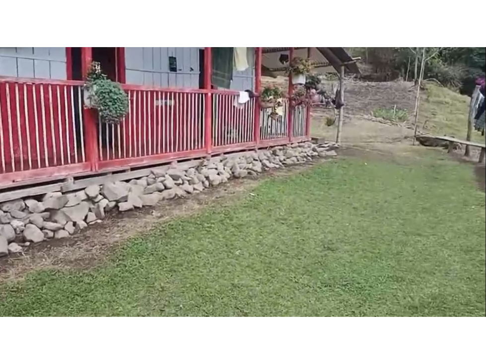 Venta de finca cafetera y arboles frutales en Guatica Risaralda - 1
