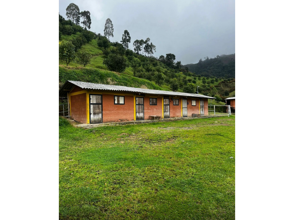SE VENDE FINCA DE 25.000 METROS CUADRADOS A BORDE DE CARRETERA — foto 6