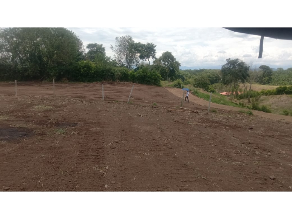 SE VENDE LOTE PALMILLA AREA DESDE 1500 M2 PARCELACION PUE ELECTRICA
