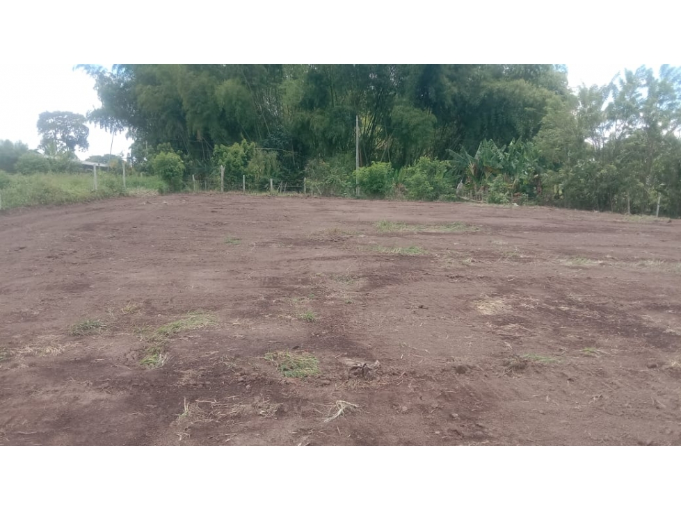 SE VENDE O PERMUTA LOTE EN PARCELACION EN LA PALMILLA — foto 6